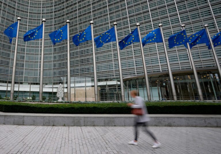Grüner und digitaler: Einer Untersuchung zufolge wird bislang in der EU nicht kontinuierlich genug investiert - und vor allem nicht genug Geld. Foto: Virginia Mayo/AP/dpa
