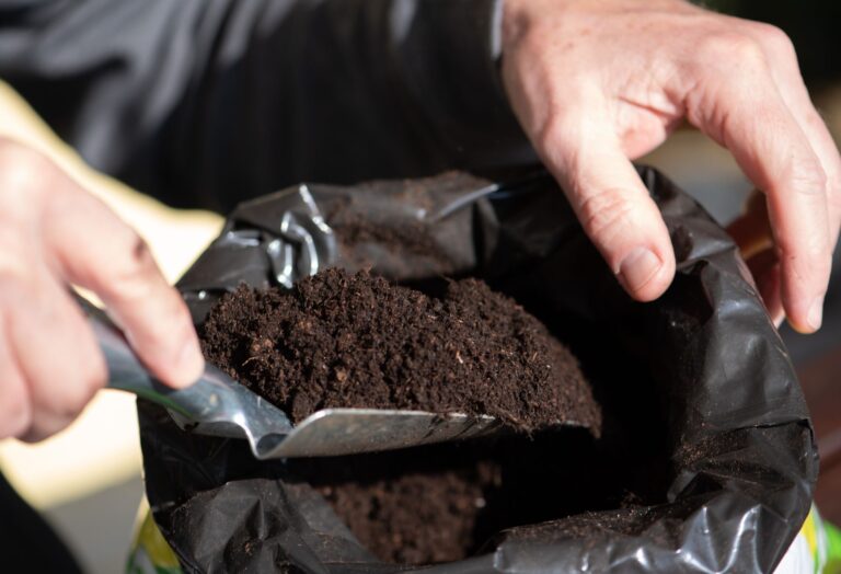 Ein unangenehmer Geruch in frisch gekaufter Blumenerde kann ein Qualitätsmerkmal sein.