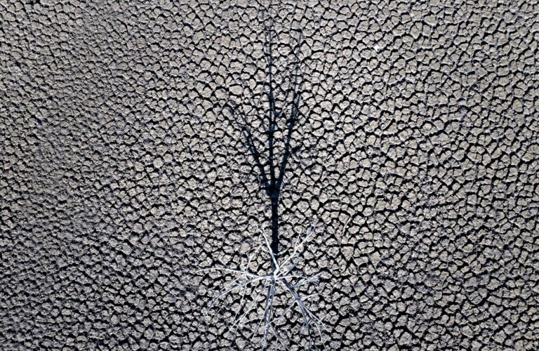 Die globalen Temperaturen steigen weiter an. Foto: Emilio Morenatti/AP/dpa