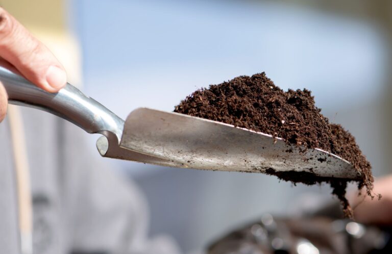 Erde mit Kokosfasern, Rindenmulch oder Kompost bietet eine umweltfreundliche Alternative zu torfhaltiger Erde.