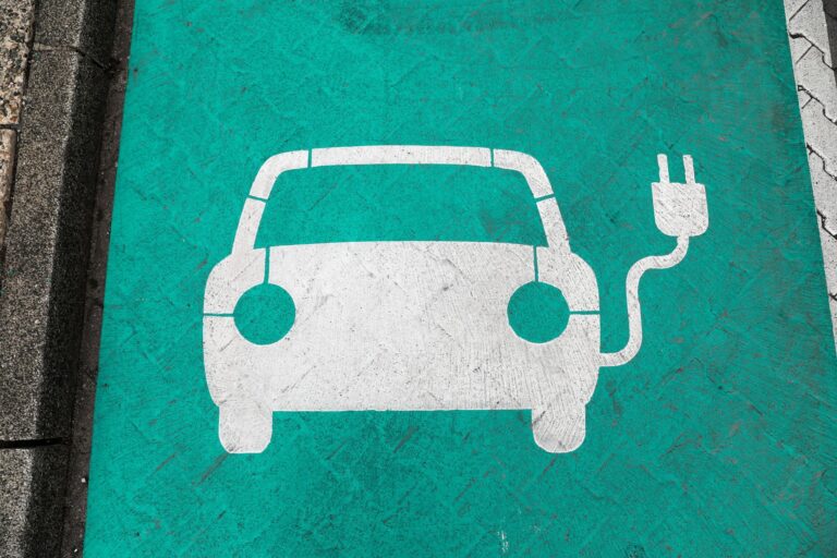 Mit dem sogenannten Green Deal will die EU bis 2050 klimaneutral werden. Ein wichtiger Schritt dafür: Ab 2035 dürfen keine Neuwagen mehr zugelassen werden, die Benzin oder Diesel tanken. Foto: Jan Woitas/ZB/dpa