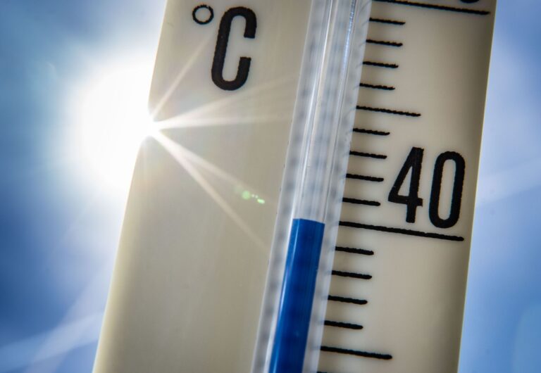 Rund 69 Prozent der Beschäftigten sehen einer Umfrage zufolge eine Einschränkung ihrer Leistung durch extreme Temperaturen. Foto: Frank Rumpenhorst/Deutsche Presse-Agentur GmbH/dpa