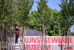 Eine Mitarbeiterin des atelier le balto beschneidet auf der Piazzetta des Kulturforums im Rahmen der Aktion „Baumschule Kulturforum“ junge Laubbäume.