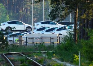 Autos der Marke Tesla stehen zum Transport am Waldrand auf dem östlichen Teil des Werksgeländes der Tesla Gigafactory.