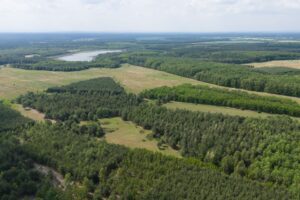 Das Biosphärenreservat Oberlausitzer Heide- und Teichlandschaft (Luftaufnahme mit einer Drohne).