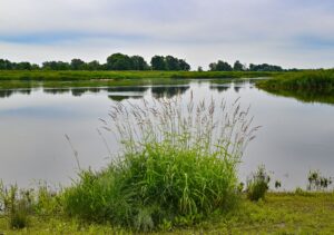 Die Gefahr eines erneuten Fischsterbens in der Oder ist noch längst nicht gebannt. (Archivbild)