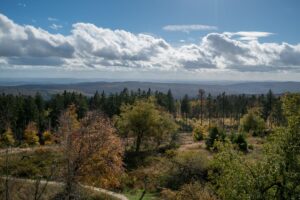 Im Nationalpark Hunsrück-Hochwald gibt es wieder mehr Rangertouren.