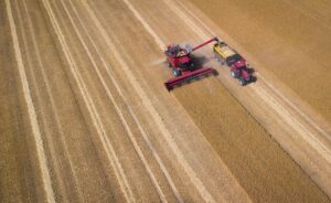 Regenwetter und schwieriger Pflanzenschutz bereitet den Landwirten Probleme, berichtet der Bauernverband. (Archivbild)