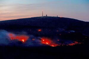 Ohne den Brand am Brocken und in der Oranienbaumer Heide Anfang September wäre die Waldbrandsaison unspektakulär verlaufen. (Archivfoto)