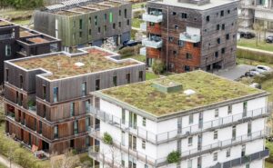 Begrünte Dächer in Hamburg. Eine Studie eines Forschungsvorhabens an der Universität Hamburg hält das Erreichen des 1,5-Grad-Ziels unverändert für unplausibel. (Symbolbild)