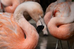 Der Sanierungsbedarf im Zoo ist erheblich.