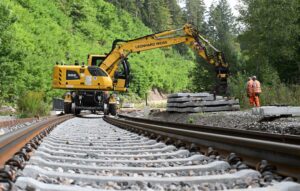 Bei der Reaktivierung der Strecke muss auf rund 15 streng geschützte Fledermausarten geachtet werden.