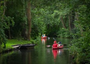 Der Spreewald gilt als wichtige Tourismusregion Brandenburgs (Archivbild)