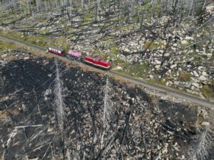 Blick auf die Brandfläche am Königsberg: Etwa 17 Hektar Waldfläche im Nationalpark Harz wurden zerstört. (Archivfoto)