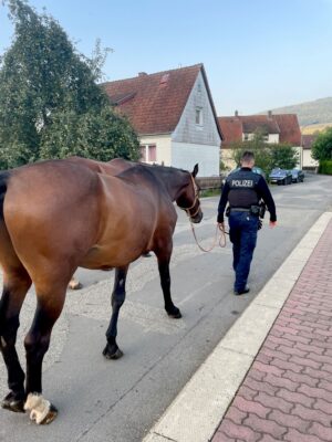 Ein Polizist bringt das Pferd in Sicherheit.