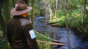 Ein Projekt zur Wiederansiedlung in der Eifel soll der Flussperlmuschel ein gutes Umfeld geben.