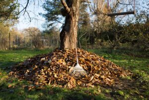 Laubberge im Garten können vielen Tieren im Winter als Unterschlupf dienen.