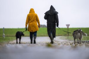 Kleine Gassirunde: Bei stürmischem Wetter sollte man mit dem Hund lieber nur kurz spazieren gehen und Gegenden mit Bäumen meiden.