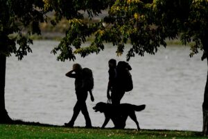 Genug Proviant einpacken und die Distanz langsam steigern: Dann können Hunde ohne Probleme eine Wandertour bewältigen.