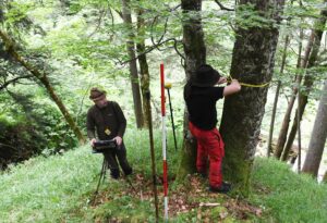 Für den Bericht wird eine Stichprobe des Waldes untersucht.