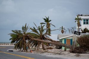 Einen Tag nach Hurrikan «Milton» zeichnet sich im US-Staat Florida ein Bild der Zerstörung.