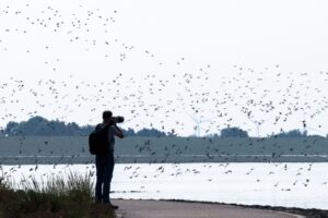 Bei den Zugvogeltagen gibt es rund 250 Veranstaltungen. (Archivbild)