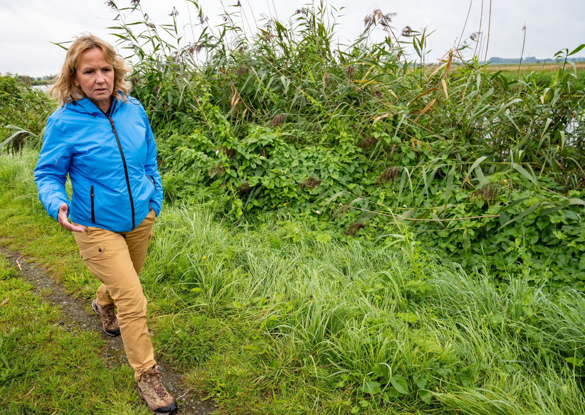 Bund fördert Projekt zum Klimaschutz durch intakte Moore