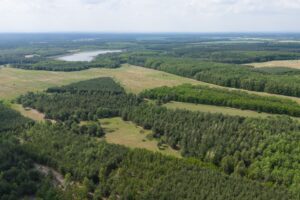 Kein Waldbrand war nach Ministeriumsangaben größer als ein Hektar. (Archivbild)