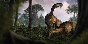 Anhand von versteinertem Kot, Erbrochenem und Darminhalten haben Fachleute die frühe Entwicklung der Dinosaurier rekonstruiert.