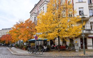 Initiative will mehr Straßenbäume (Archivbild)