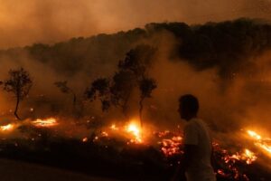 Der Waldbrand in der Nähe der griechischen Stadt Alexandroupolis im Jahr 2023 war der größte bisher registrierte Brand in Europa. (Archivbild)