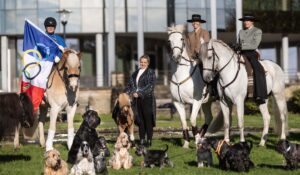 10.000 Hunde und über 250 Pferde werden auf der «Hund & Pferd» in der Dortmunder Westfalenhalle zu sehen sein.