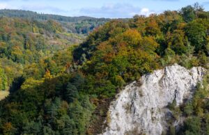 Das Biosphärenreservat Karstlandschaft Südharz soll nach dem Willen der Landesregierung auf die Liste der Unesco kommen. (Archivbild)