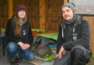 Natascha Junker und Rico Gürtler haben den gemeinnützigen Verein Burg Nagezahn gegründet. Im brandenburgischen Werneuchen hat der Verein ein Gelände, wo Nagetiere und Kaninchen in Not ein Zuhause finden können. (Archivbild)