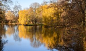 Der Herbst 2024 war in Niedersachsen und Bremen erneut zu warm.