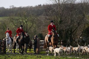 Fuchsjagd in England: Harmlose Tradition oder blutrünstiges Spektakel? (Archivbild)