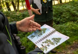 Bei der Waldzustandserhebung hatten geschulte Teams etwa 17.000 Bäume in Bayern untersucht. (Archivbild)