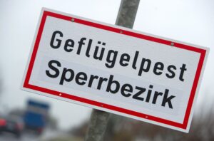 Im Landkreis Ansbach gelten nun strenge Vorschriften für Geflügelzüchterinnen und züchter.