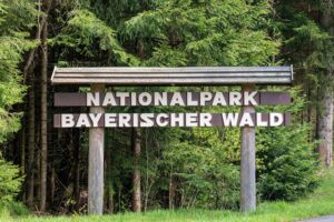 Die Nationalparkverwaltung appelliert an Besucher, in der Silvesternacht aus Rücksicht auf die Tiere auf Böller und Raketen zu verzichten.