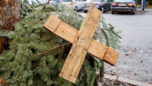 Die Weihnachtsbäume werden nur unter bestimmten Bedingungen abgeholt. (Archivbild)