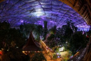 Die Tropenhalle Gondwanaland im Leipziger Zoo wird mit einem Sternenhimmel illuminiert.