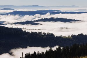 Die Erweiterung des Nationalparks löst Debatten im Schwarzwald aus. (Archivbild)