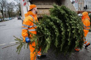 Die Bäume werden noch bis zum 17. Januar eingesammelt.