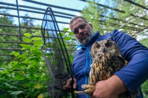 2023 hatten die letzten Tiere den Wildpark verlassen. (Archivfoto)