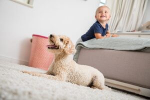 Ein Tierschutzhund kann auch für eine Familie mit Kindern eine gute Wahl sein - wenn man sich vorher ausreichend informiert.