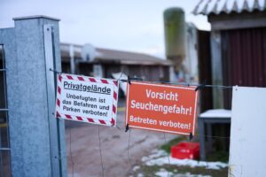 Ungeklärt ist bislang, auf welchem Weg es zu der Infektion in der Herde von Wasserbüffeln auf einer Weide in Hönow im Kreis Märkisch-Oderland kam.