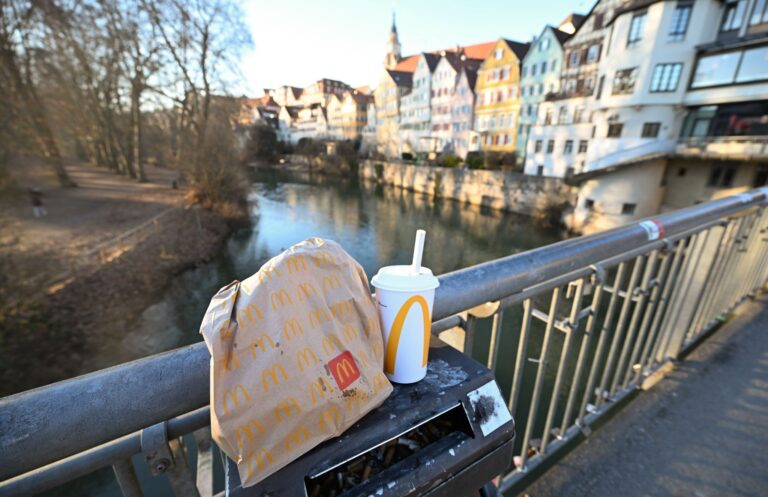 Mit einer Verpackungssteuer will Tübingen für weniger Müll in der Stadt sorgen. (Symbolbild) Foto: Bernd Weißbrod/dpa