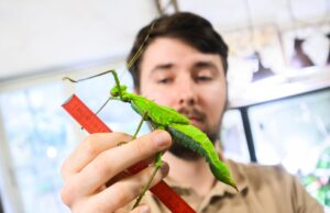 Tierische Inventur im Zoo Hannover: 1.943 Tiere und 166 Arten wurden gezählt.