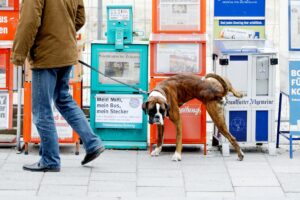 Halter haften für alle Schäden, die ihre Hunde verursachen - Versicherungen können vor finanziellen Schäden schützen.