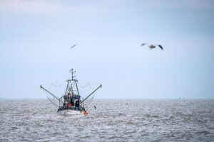 Die Schutzgebiete in der Ostsee könnten für die Fischer im Norden einschneidend sein. (Symbolbild)